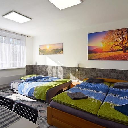 Apartman Nikola Trojanovice Bagian luar foto