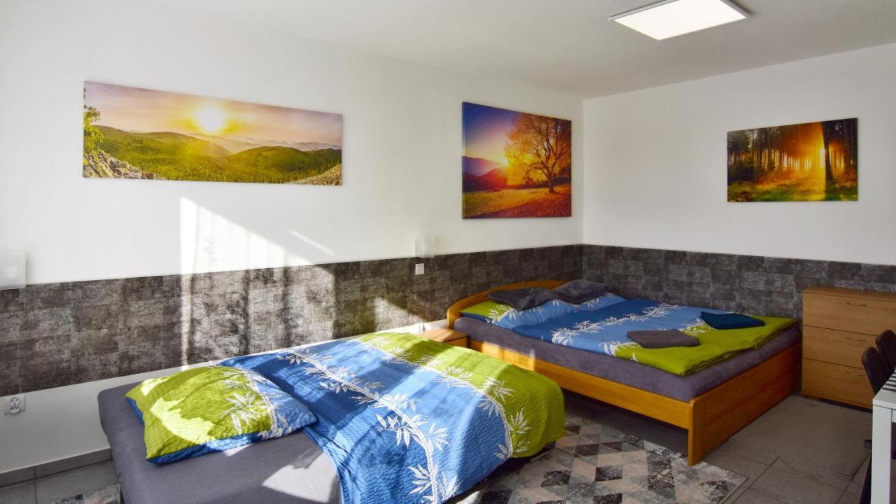 Apartman Nikola Trojanovice Bagian luar foto